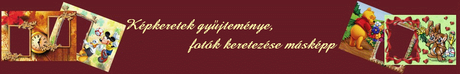 flash bannert helyettest kp